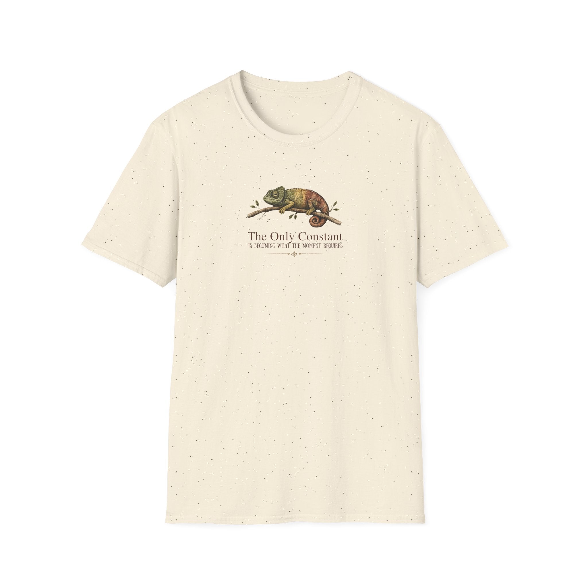 The Only Constant T-shirt