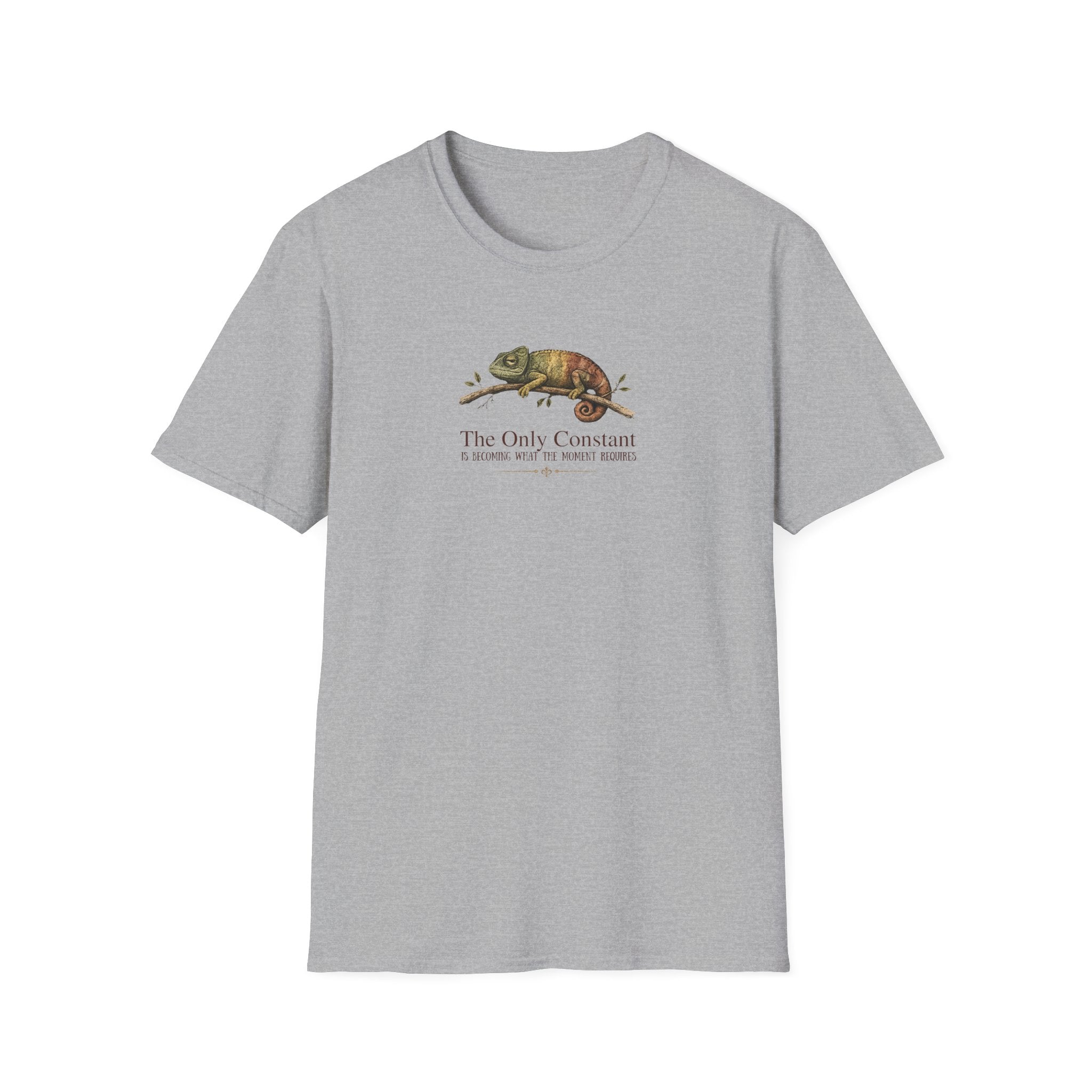 The Only Constant T-shirt